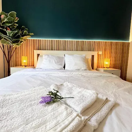 Sunshine Getaway - Stylish In The Heart Of 公寓 尼斯